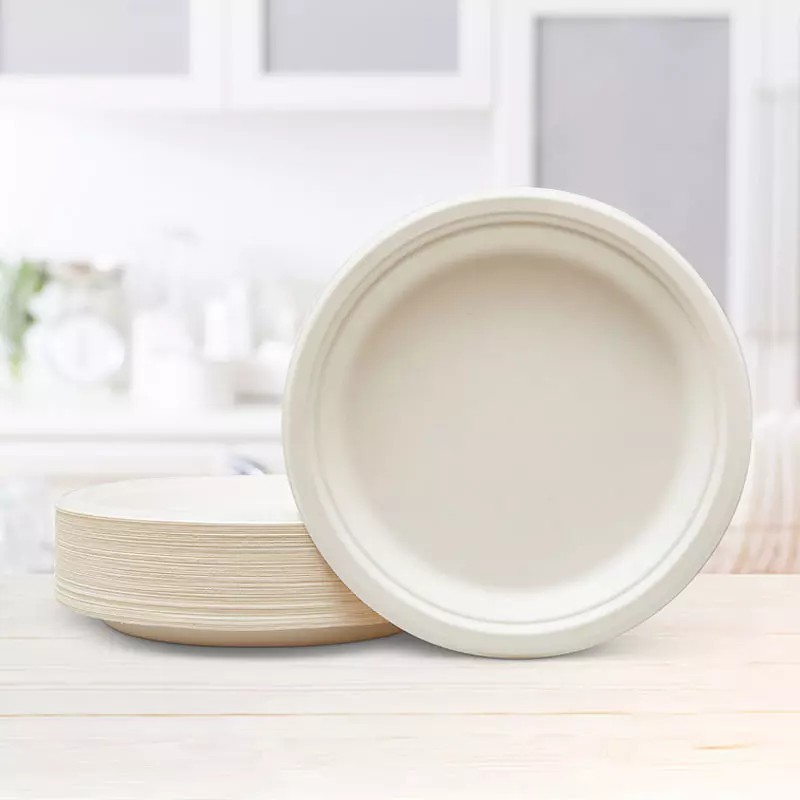 9 inch sugarcane round food plates for parties 