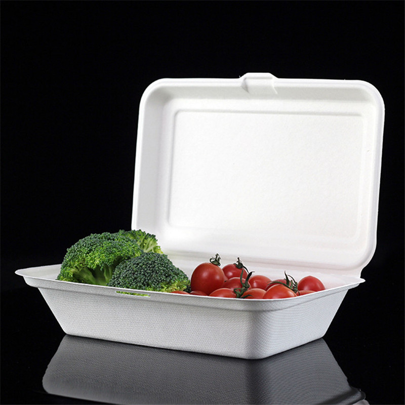  Productos biodegradables de envasado de alimentos de caña de azúcar