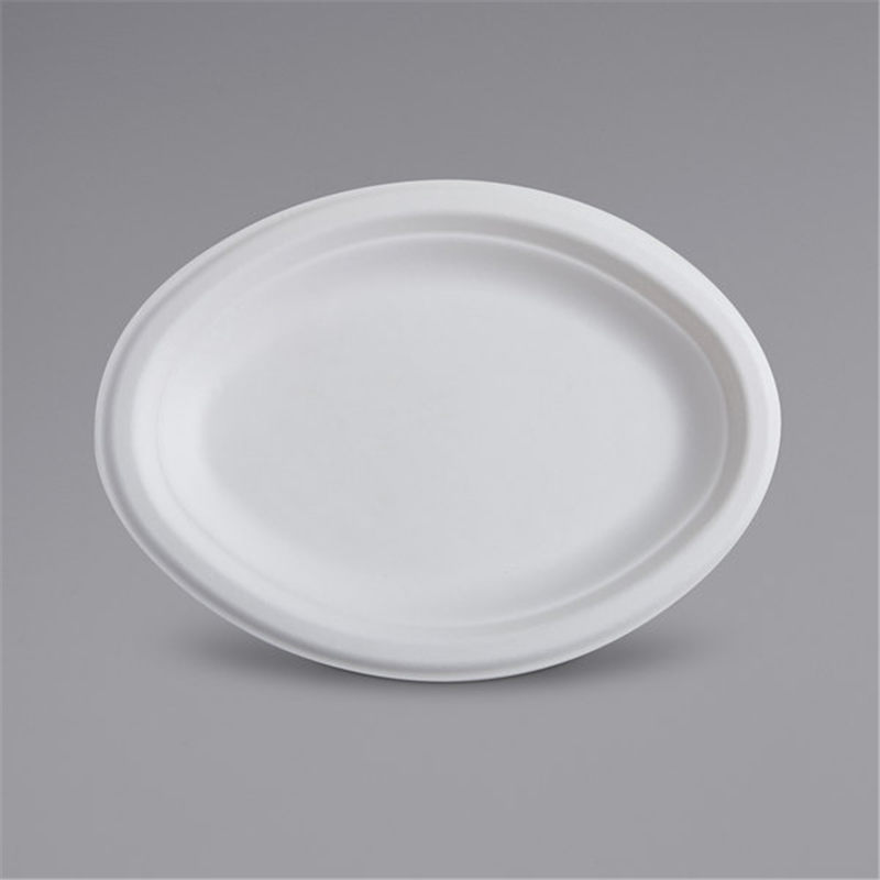 Platos ovalados de caña de azúcar de buena calidad