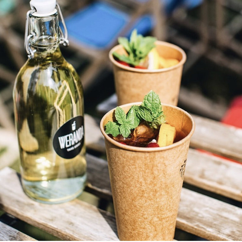Vasos de papel desechables de 16 oz para bebidas frías