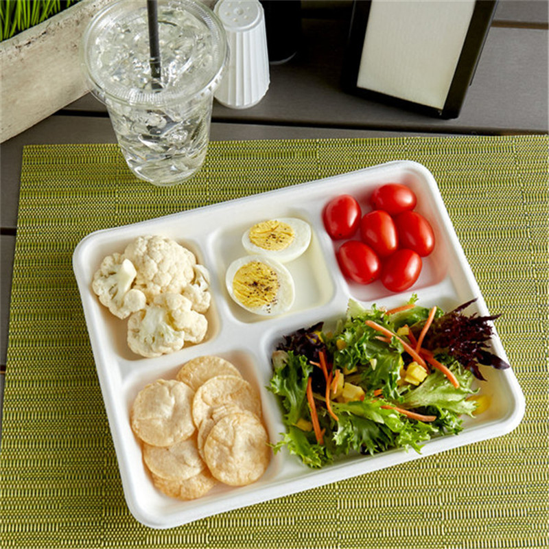 5 compartment sugarcane food packaging lunch trays 