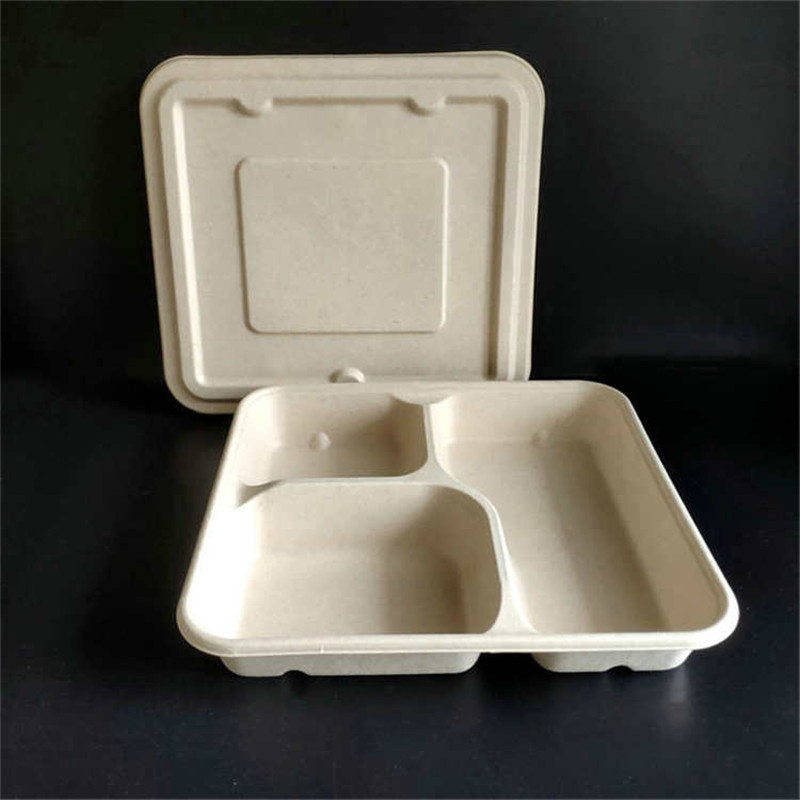 Disposable wholesale 3-compartment bamboo pulp takeaway food trays 
