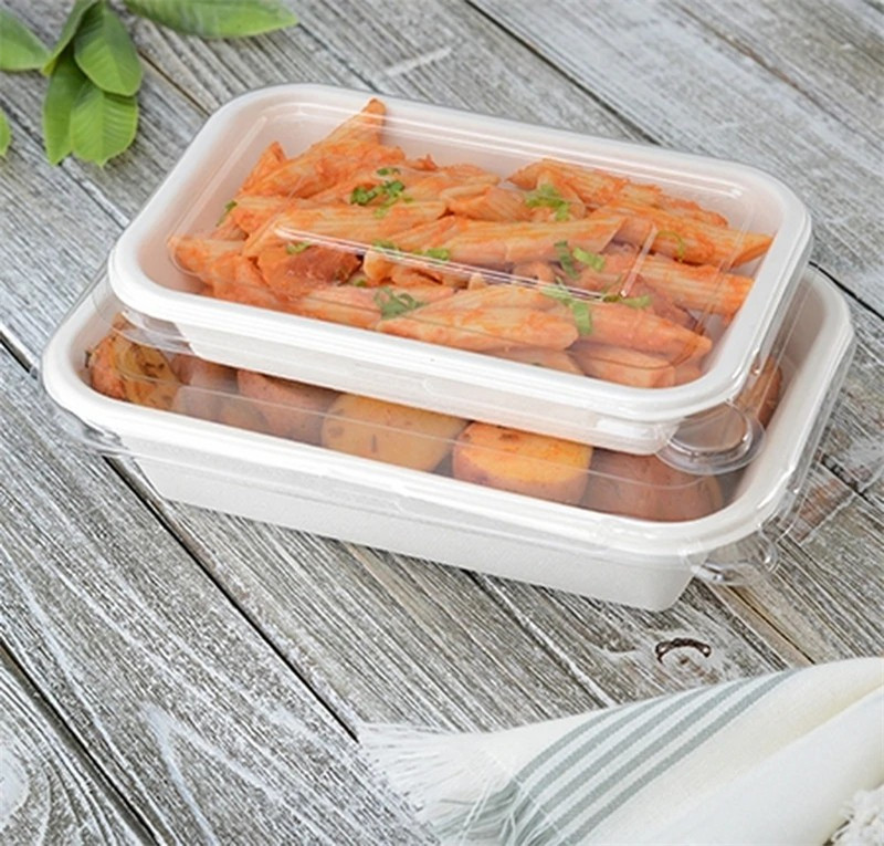 750ml al por mayor desechable rectángulo bagazo ensalada bandejas de alimentos con tapas transparentes para mascotas