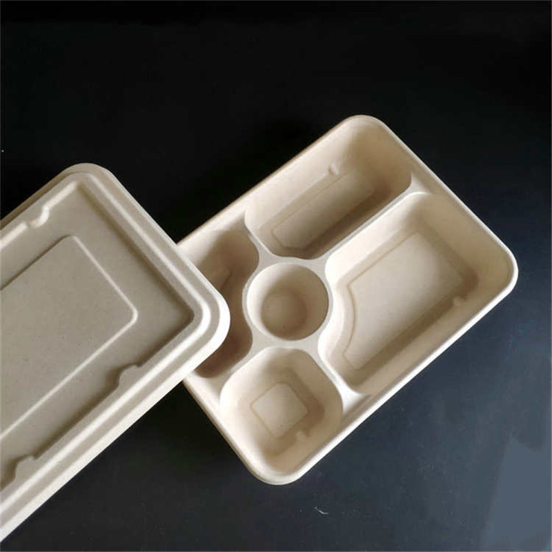 Disposable sugarcane food packaging 5 compartment trays