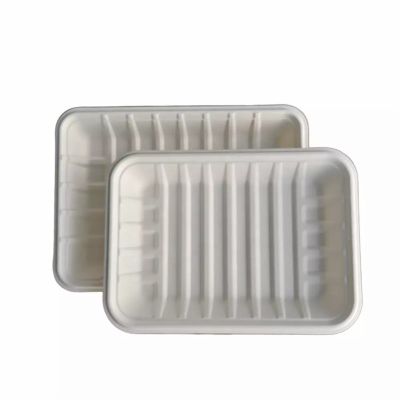 Eco-friendly disposable bagasse tray for food 