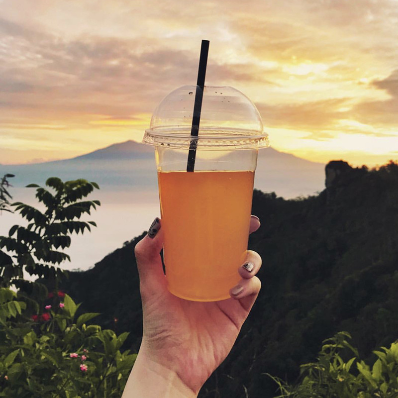 18oz disposable biodegradable clear pla cups 