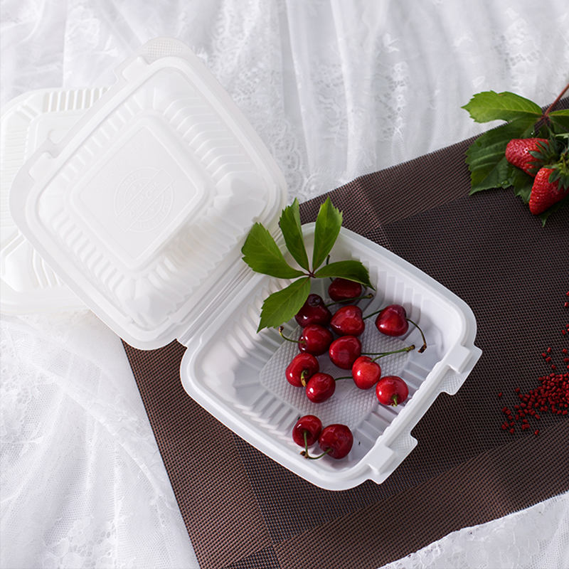 Caja de maicena duradera ecológica de 9*9 pulgadas Biodegradable