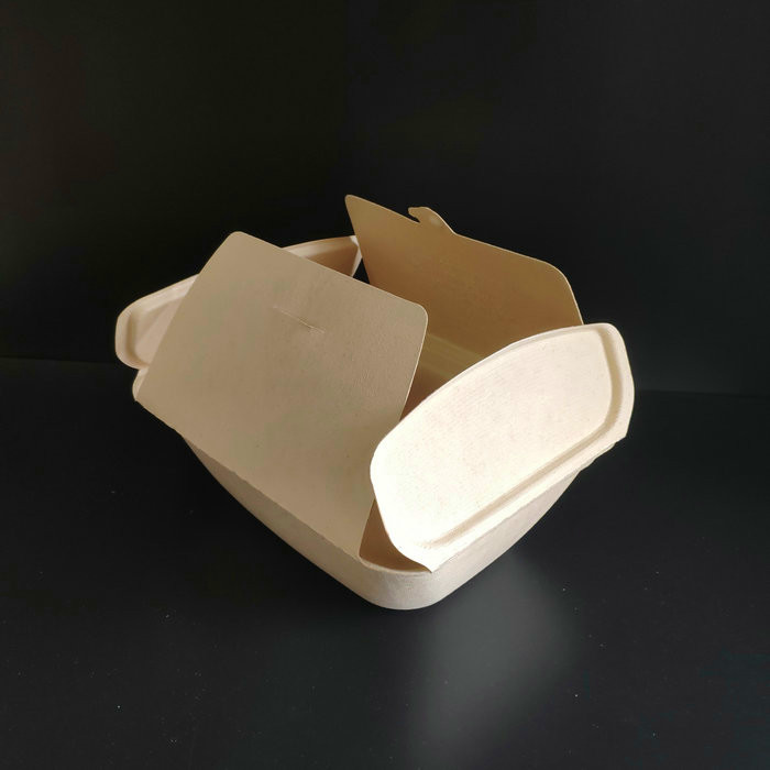 contenedor de bagazo biodegradable