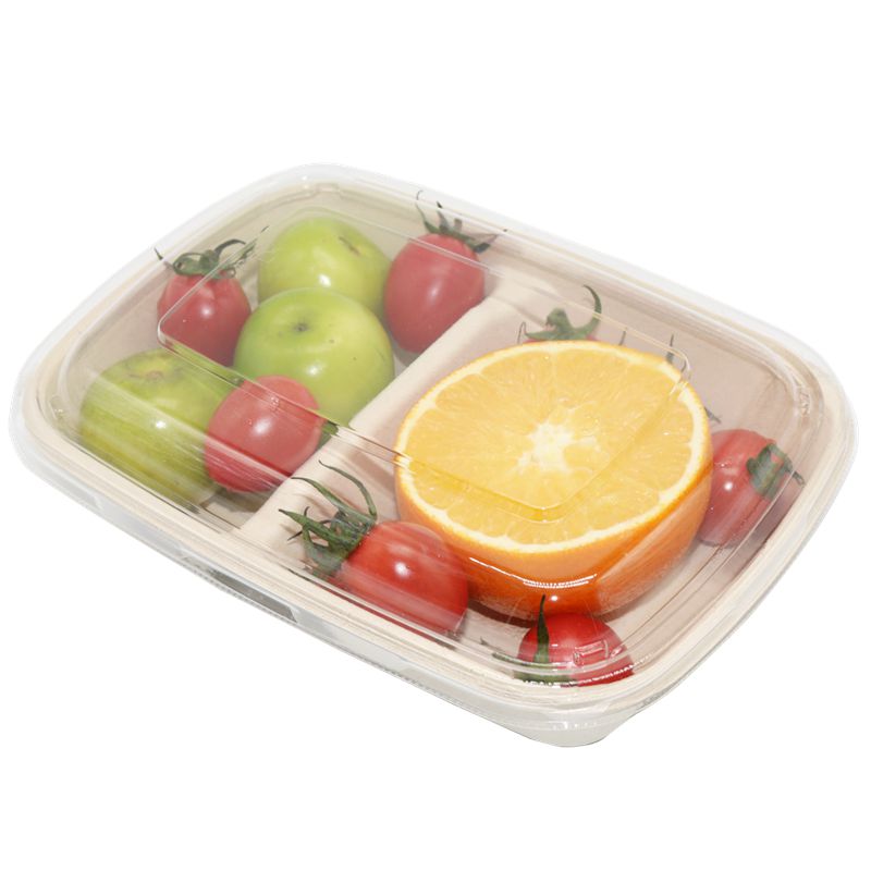 Bandeja de bagazo rectangular desechable de 2 compartimentos con tapas transparentes
