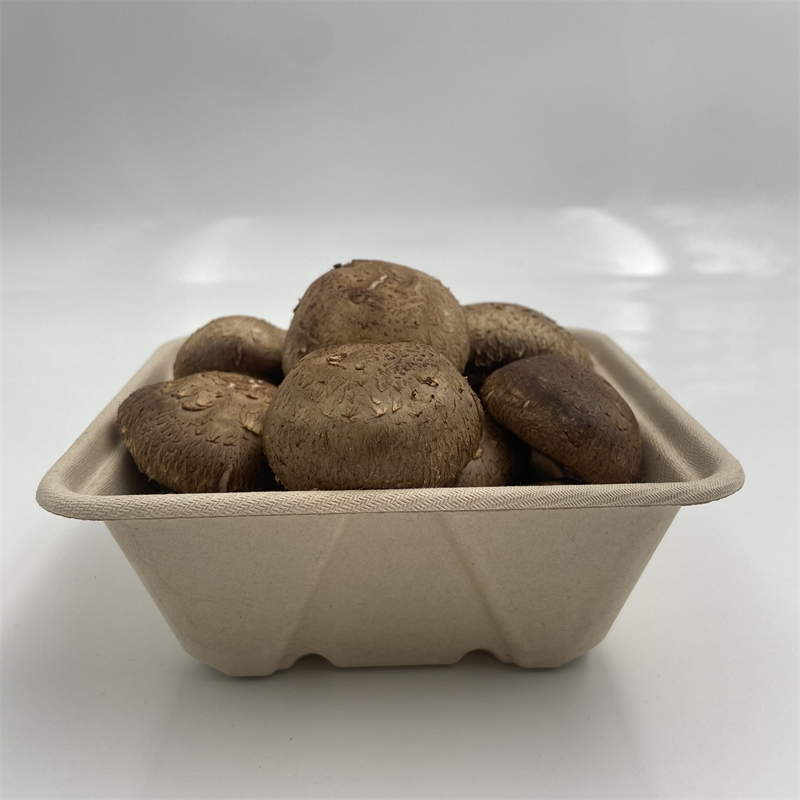 Caja desechable al por mayor de contenedores de hongos de bagazo de caña de azúcar
