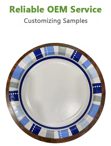 Plato de caña de azúcar biodegradable desechable con color personalizado