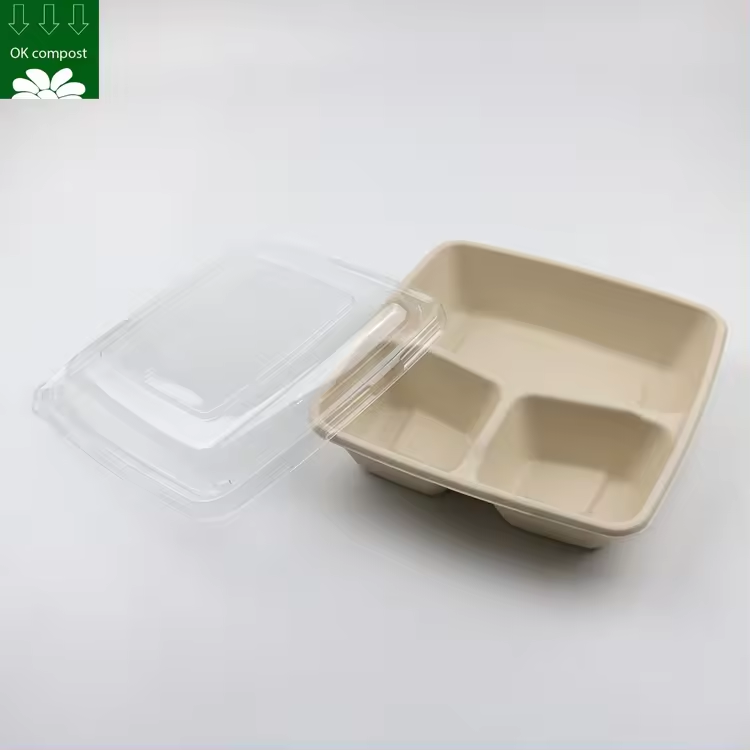 Caja de comida de almuerzo de bagazo de caña de azúcar biodegradable personalizada recipiente rectángulo de pulpa de caña de azúcar con tapa de PET
