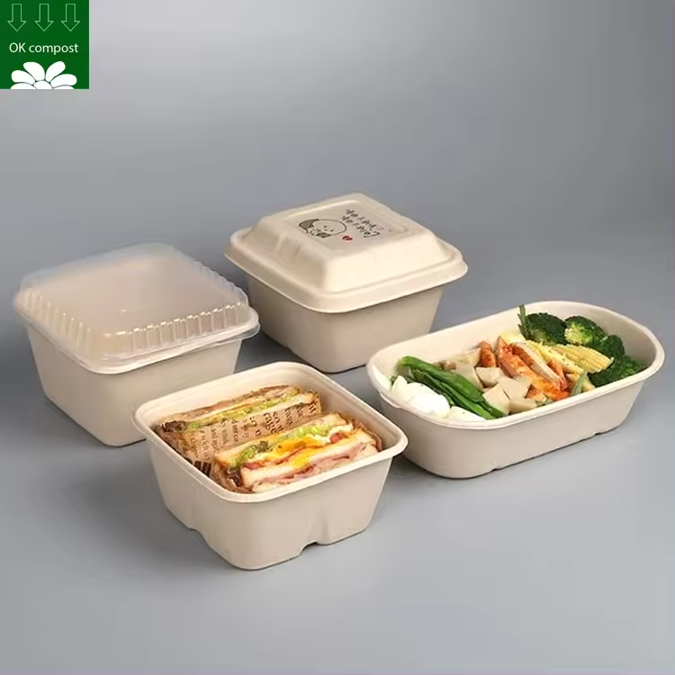 Servicio personalizado contenedor de caja de embalaje de alimentos cuadrado de pulpa de bagazo de caña de azúcar desechable