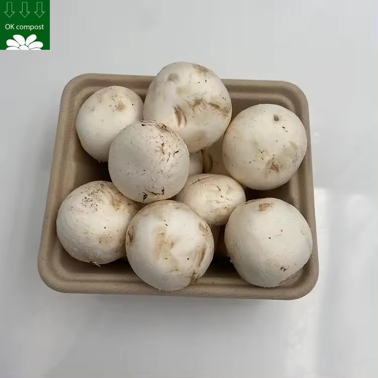 Bandeja de hongos de caña de azúcar biodegradable desechable de alta calidad