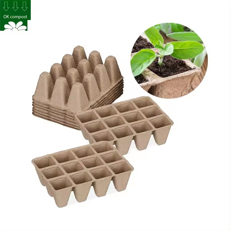 Caja de planta de caña de azúcar biodegradable y ecológica personalizada