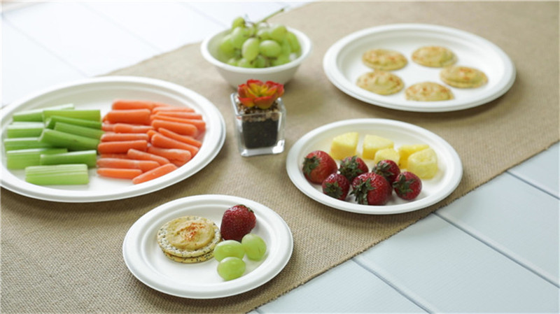 platos desechables