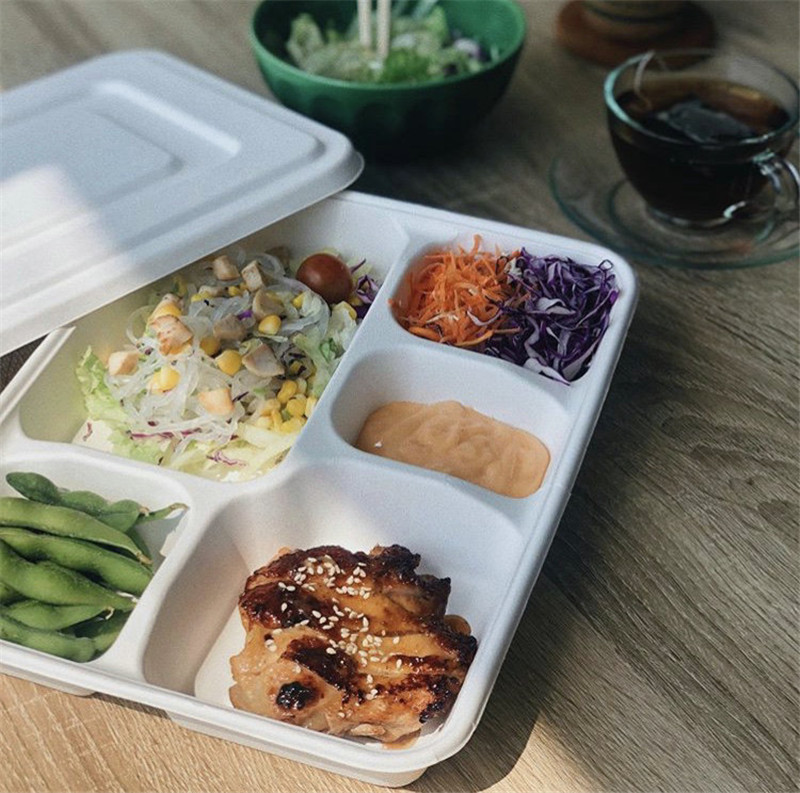 compartment trays