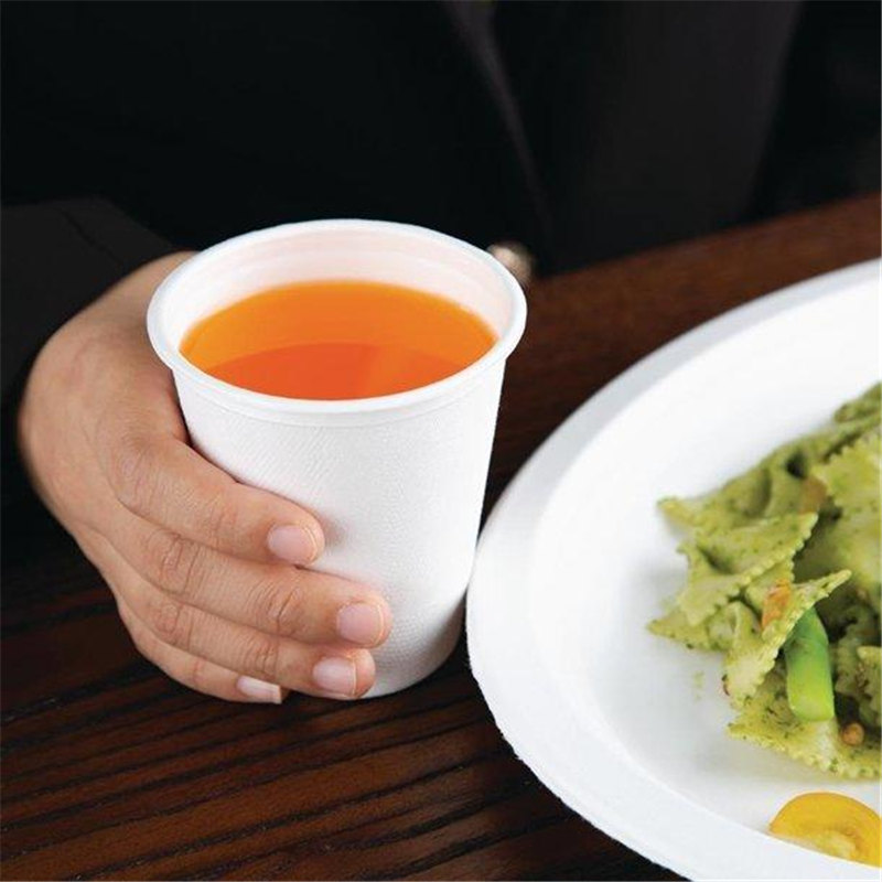 taza de bagazo
