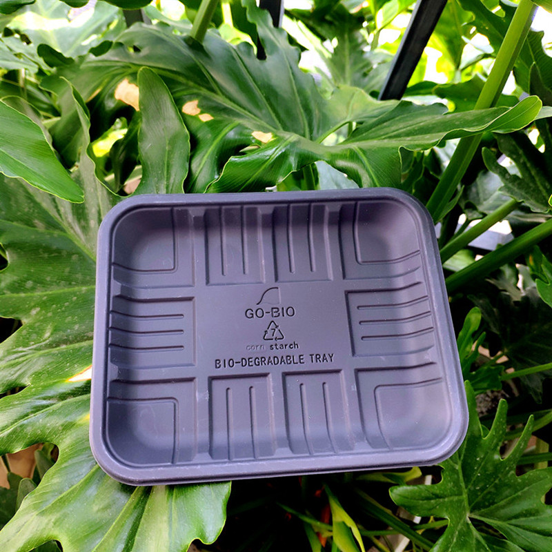 corn trays