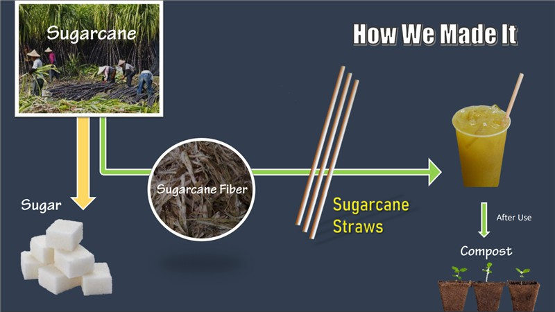 sugarcane straws