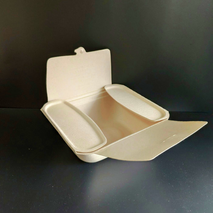 bagasse container